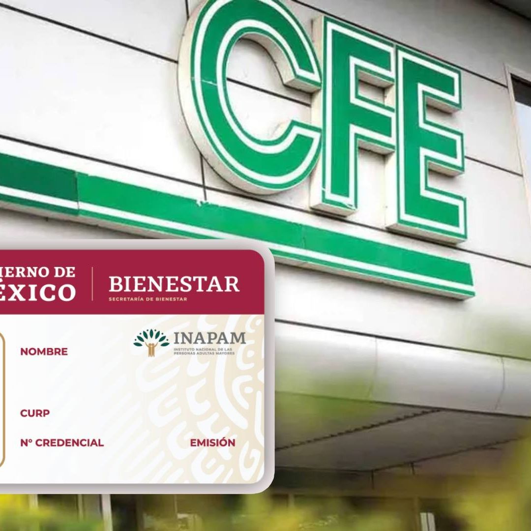 INAPAM y recibo de Luz CFE. Foto: Cuartoscuro/Gobierno de México