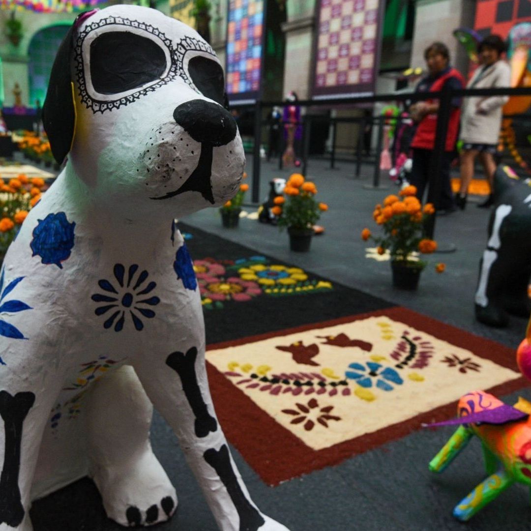 Frases para Mascotas Hoy 27 de Octubre 2025: Mensajes y Oraciones para Recibir a Perros y Gatos en Ofrenda