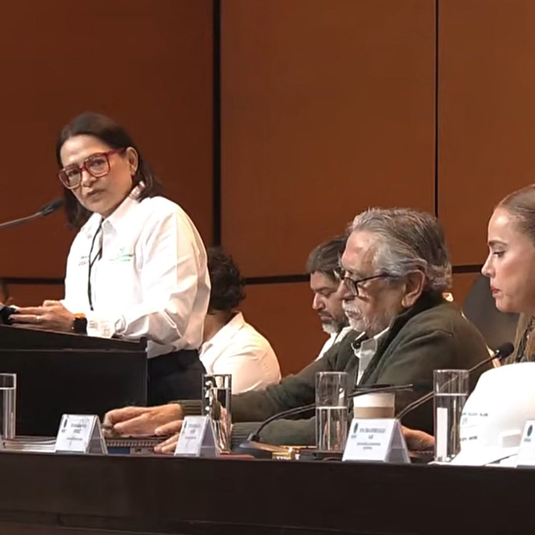 Comparecencia de la directoria de CFE en la Cámara de Diputados