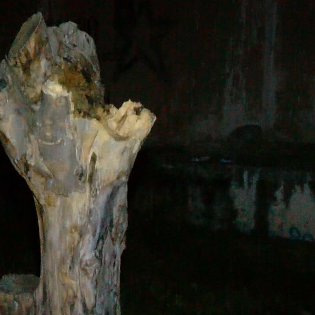 Niño resulta lesionado tras caída de árbol en la colonia El Sauz, Tlaquepaque