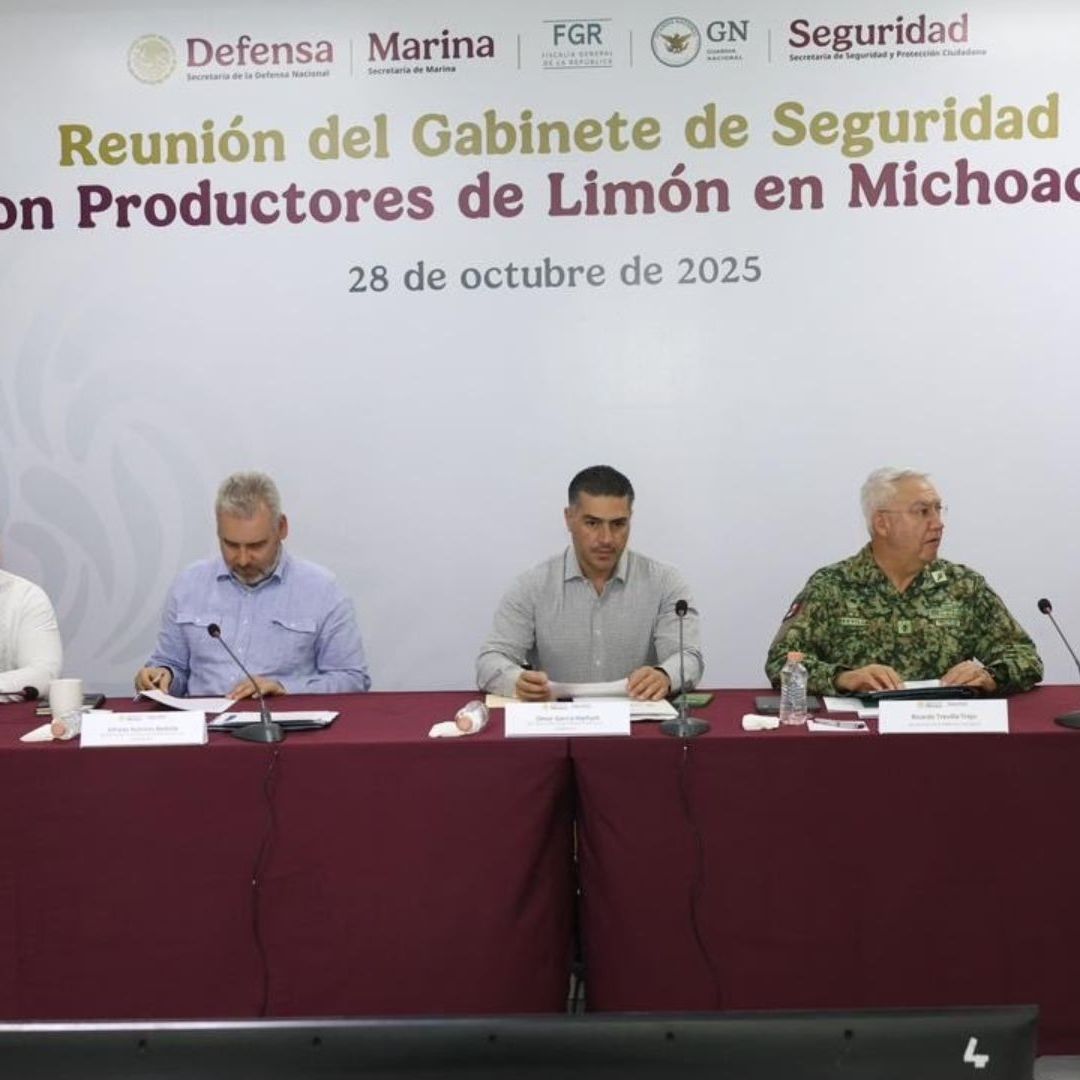 García Harfuch en Michoacán