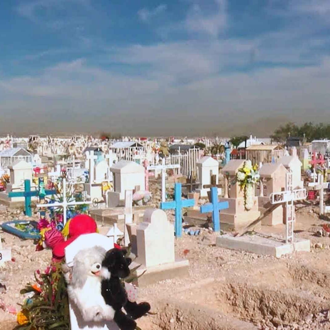 Anuncian Transporte Gratuito al Panteón San Rafael por el Día de Muertos | Foto: N+