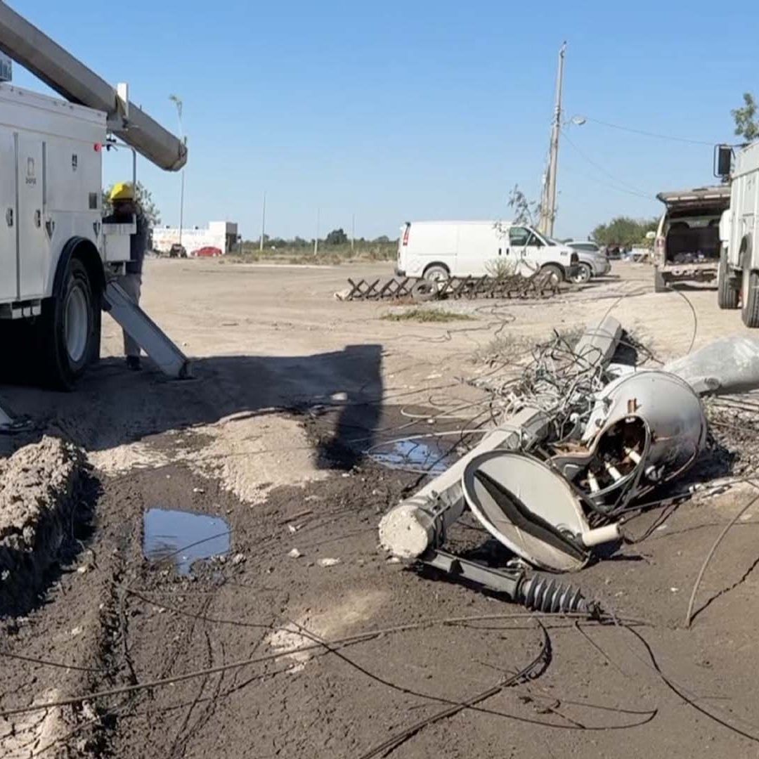 Frente Frío No. 11 Provoca la Caída de Postes de Luz y Árboles en Tamaulipas