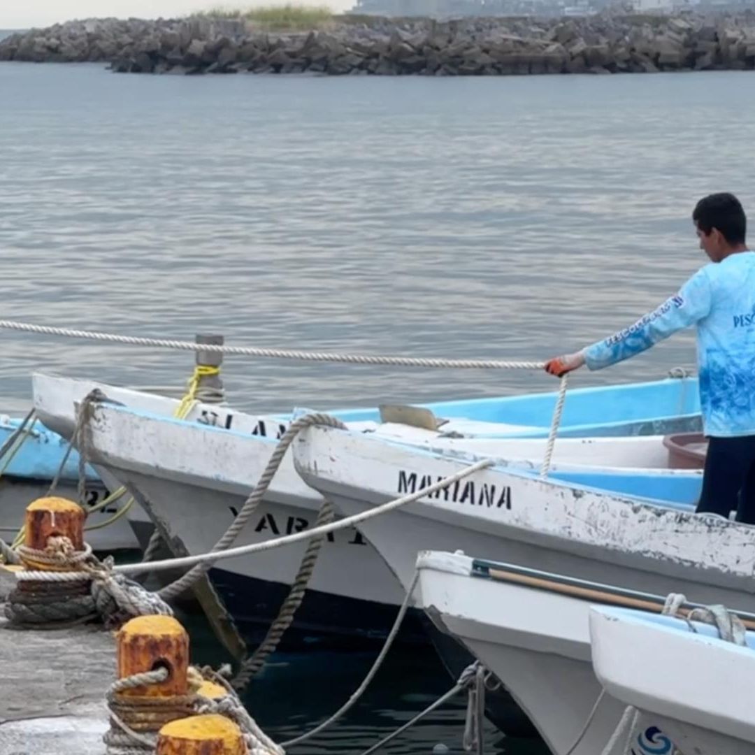 Cierran Puerto Navegación Mayor y Menor Veracruz Hoy Octubre 2025 Evento Norte Frente Frío 11