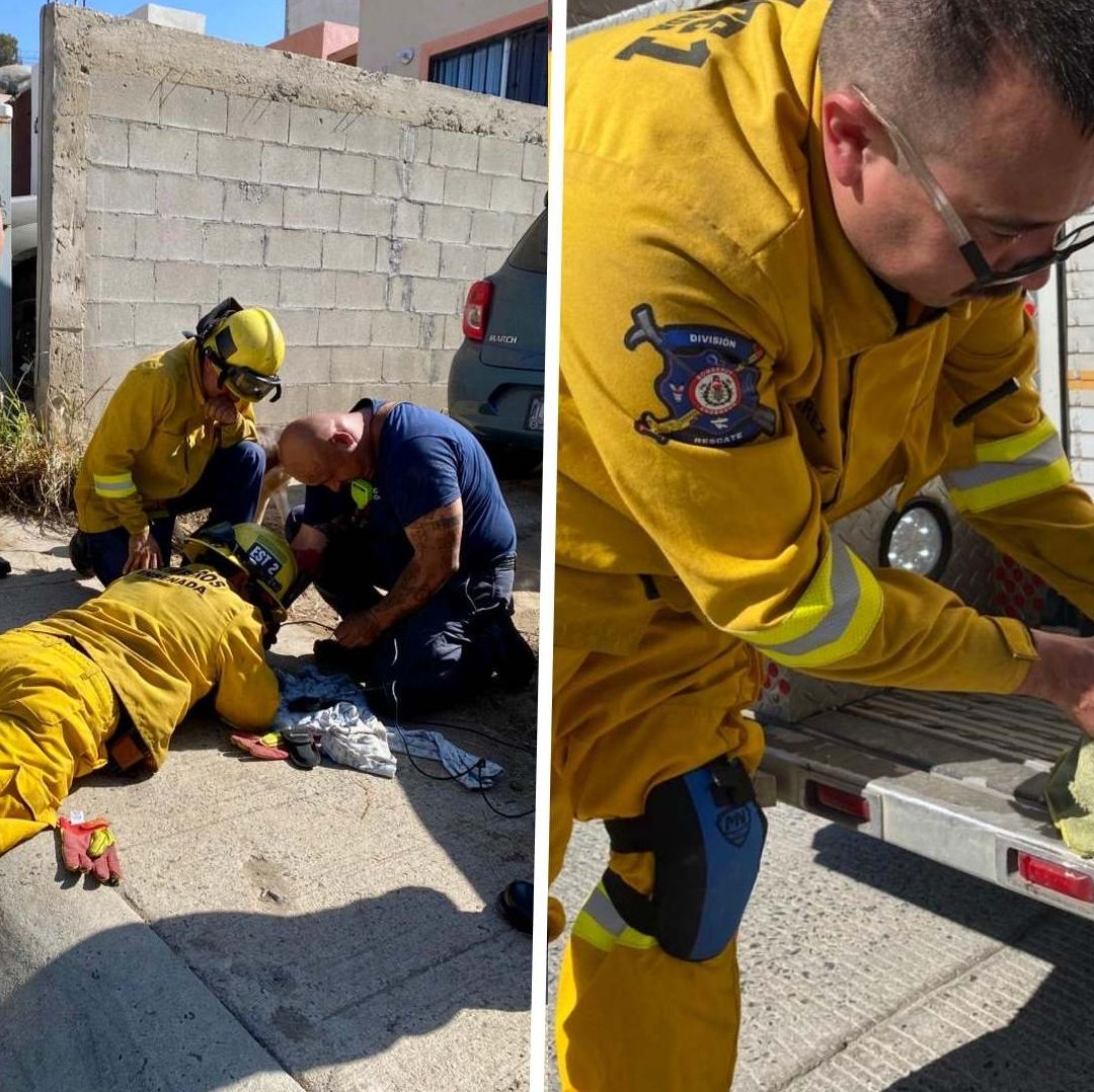 Bomberos Rescatan a Dos Cachorros Atrapados en una Tubería en Ensenada