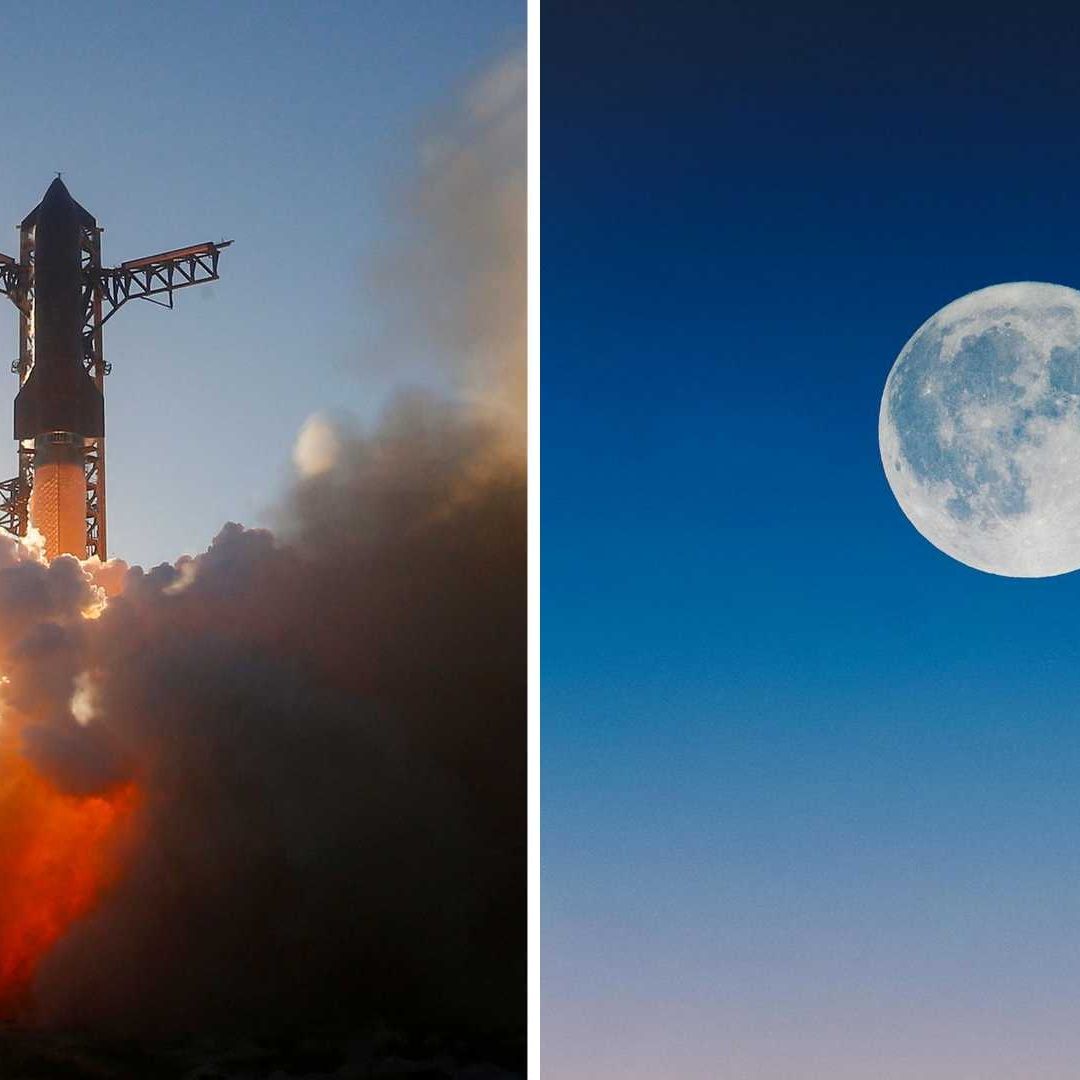 SpaceX ofrece su nave Starship para viaje a la Luna de la NASA