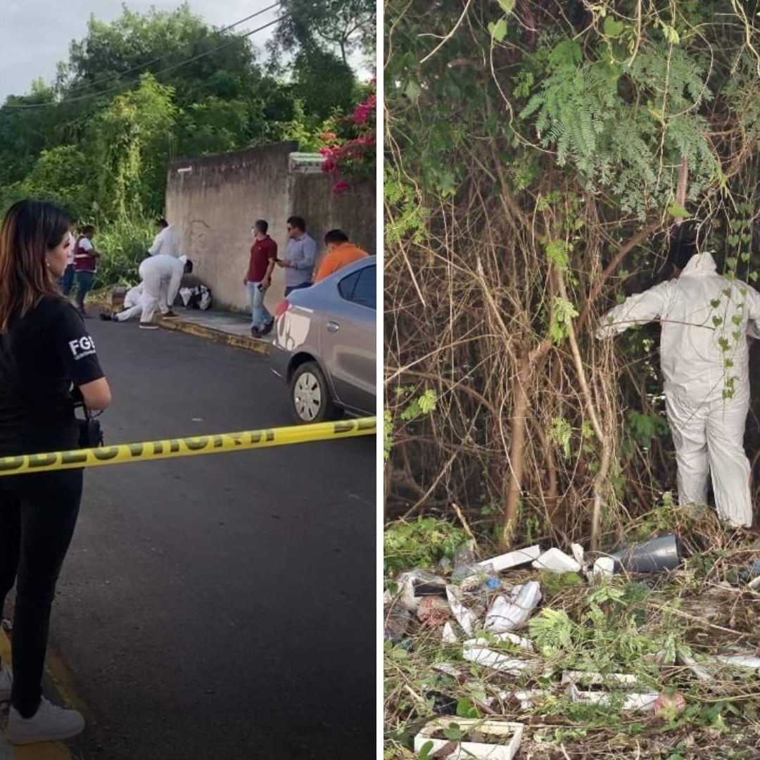 Investigan Presunto Fraude en Crematorio de Mascotas en Chetumal