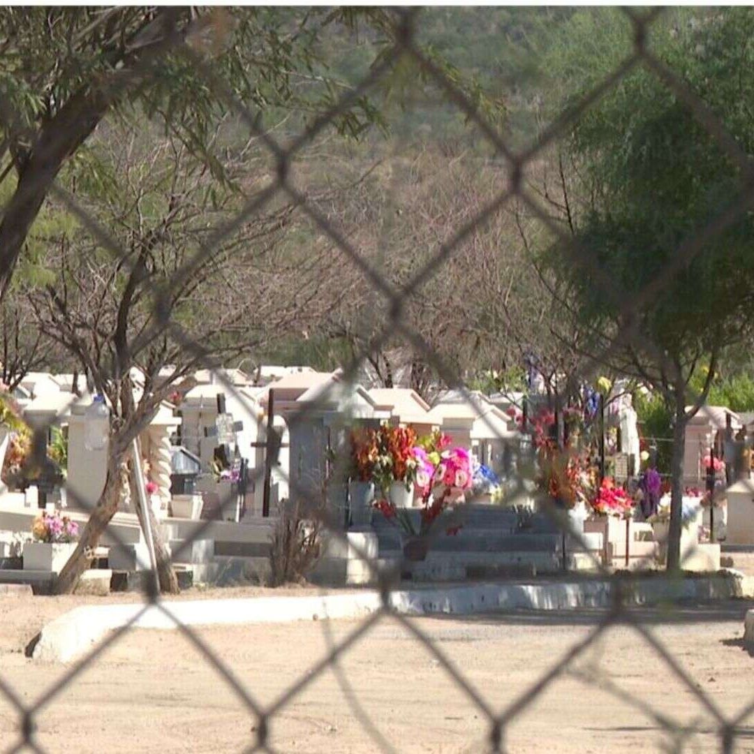 Abejas Atacan a Dos Adolescentes en Panteón Colinas de San José, en Hermosillo