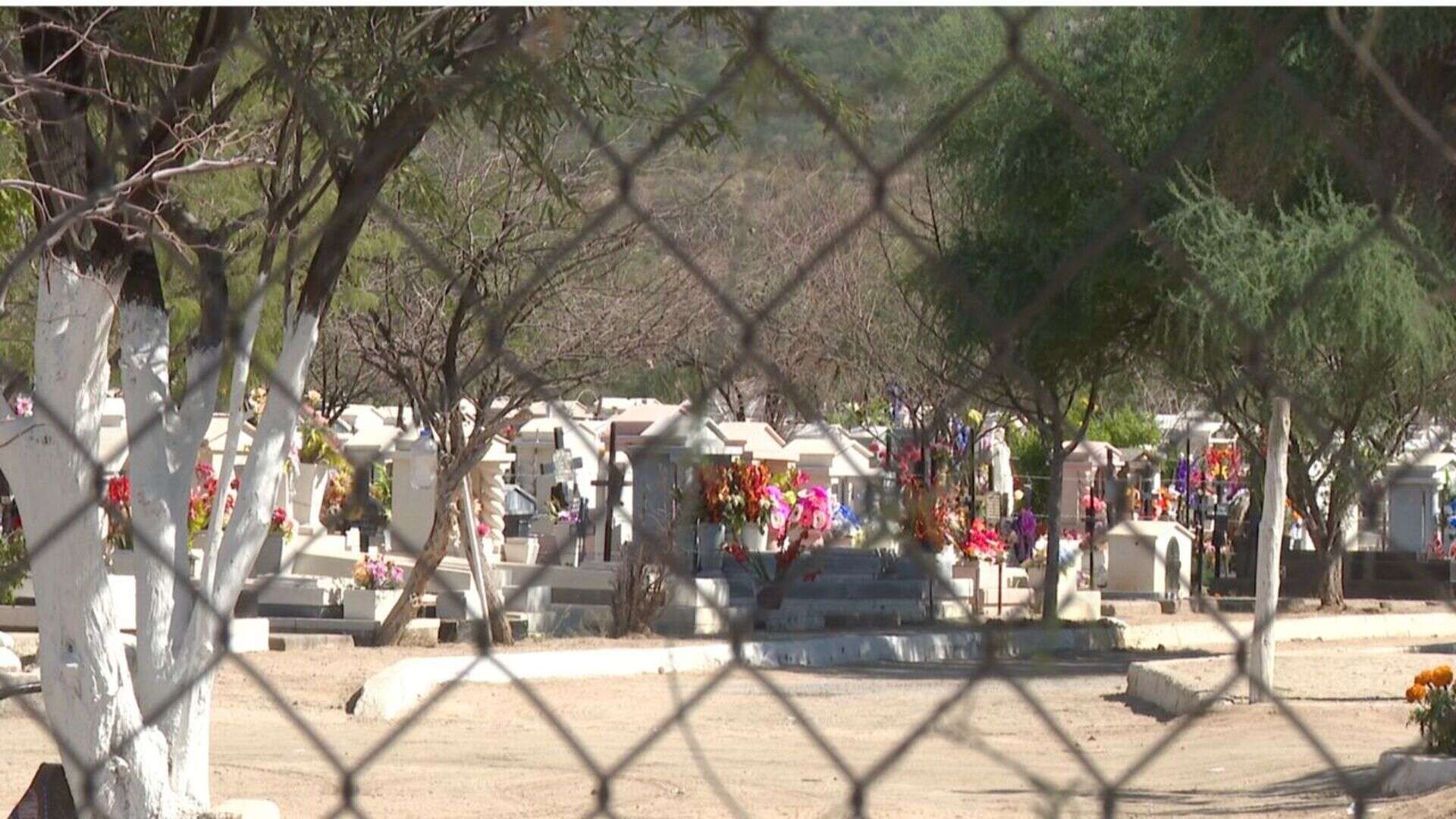 Abejas Atacan a Dos Adolescentes en Panteón Colinas de San José, en Hermosillo