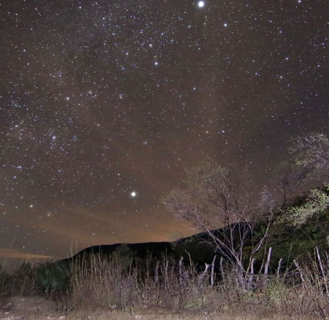 Lluvia de Estrellas Leónidas de Noviembre 2025 Se Podría Ver Esta Cantidad de Meteoros este Año