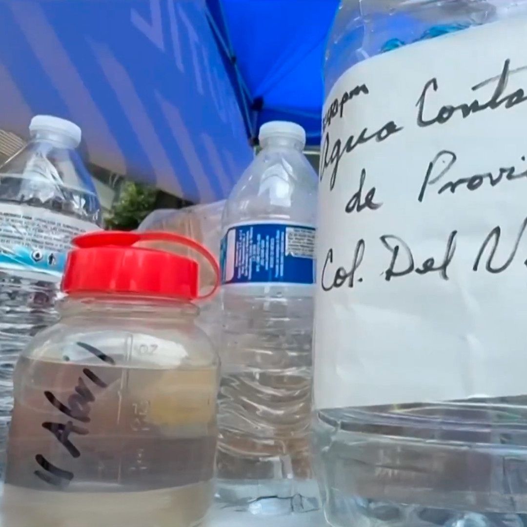 Según la CDHCM la alcaldía Benito Juárez y la Segiagua no informaron de manera clara y correcta sobre el agua contaminada en 2024