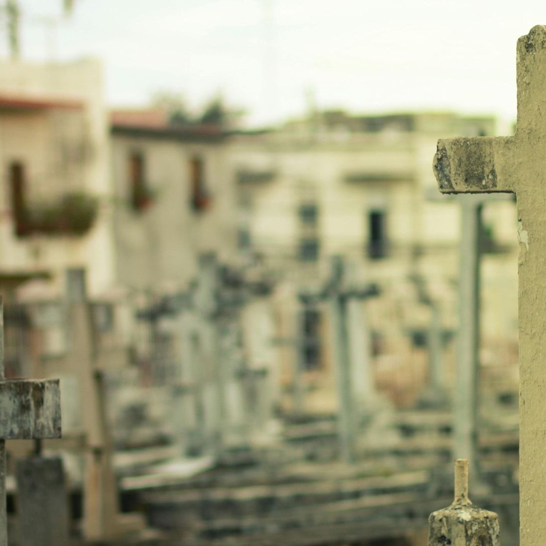 Colectivo Halla Restos Humanos en Fosas Clandestinas detrás de Panteón en San Pedro El Saucito