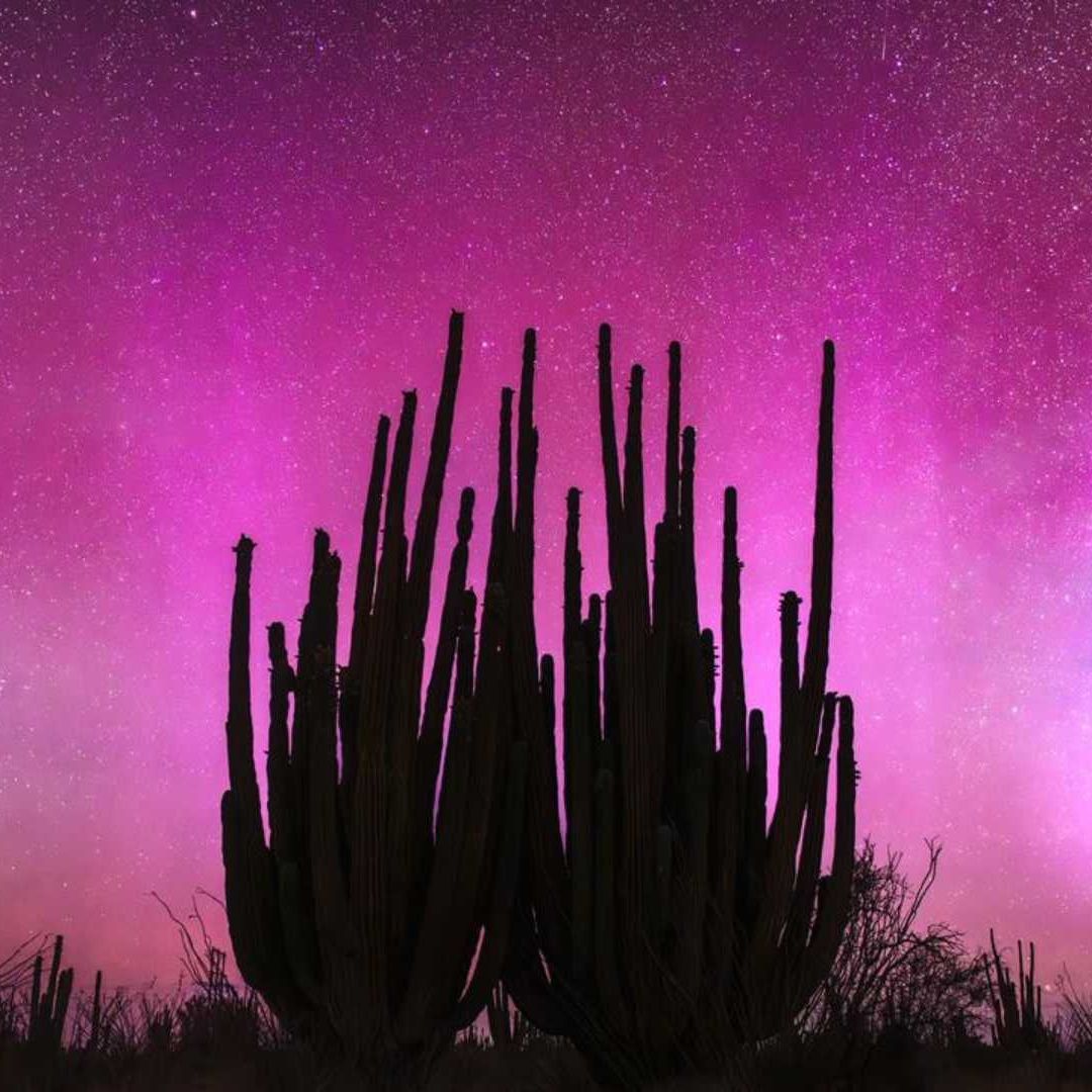 Captan Auroras Boreales en Sonora; ¿Por Qué no se Vieron en Hermosillo?