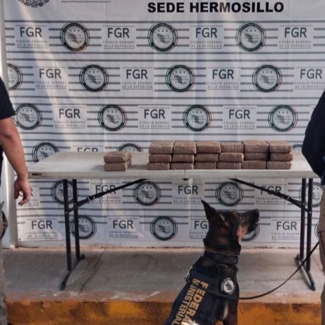 Decomisan 20 Paquetes con Cocaína Dentro de Motor de Vehículo de Paquetería en Hermosillo