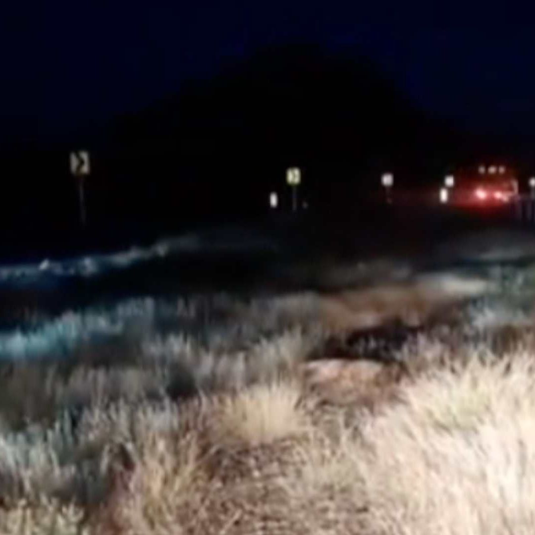 Localizan a Joven Sin Vida con Signos de Violencia en Carretera Hermosillo-Guaymas en Sonora