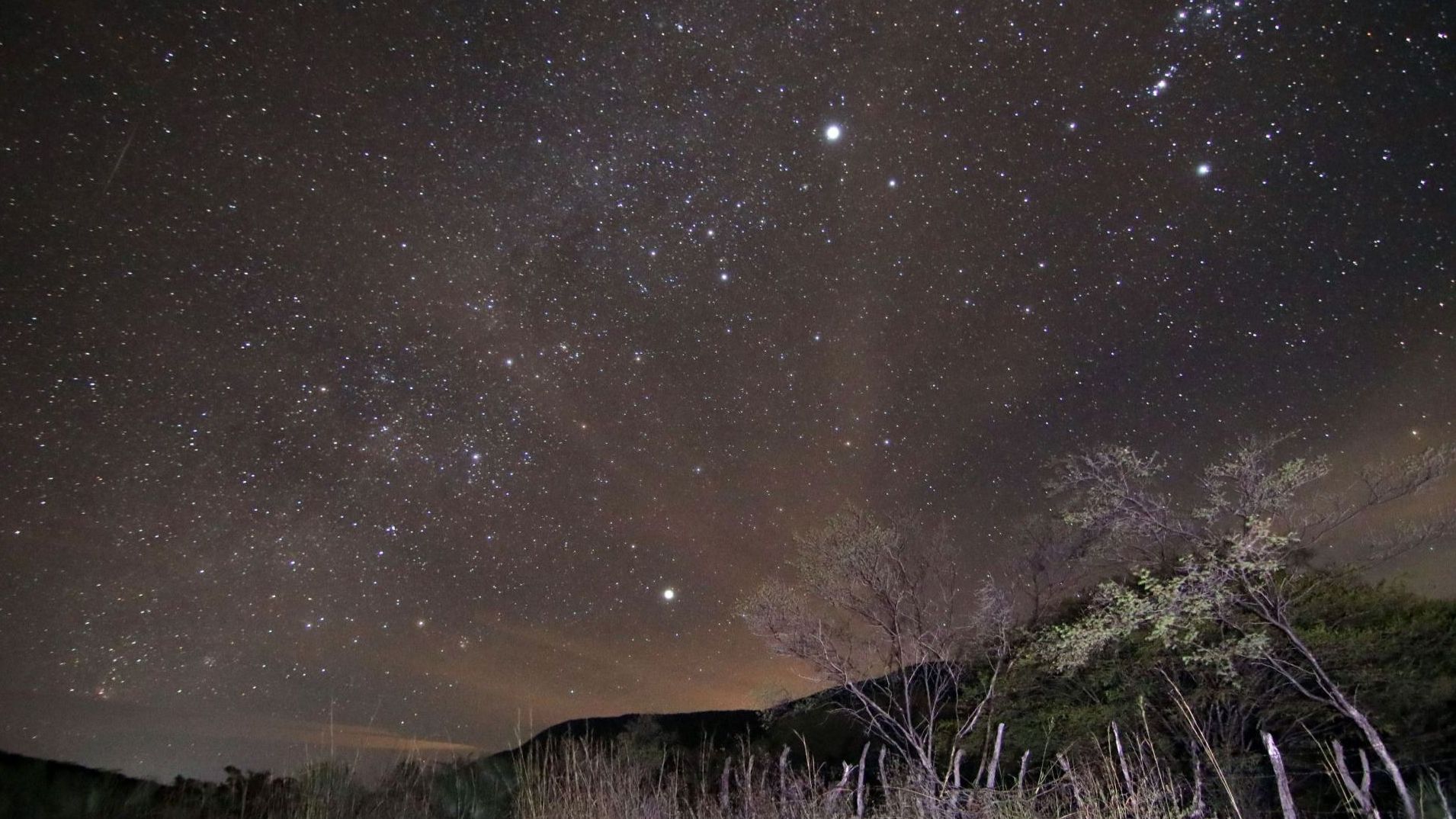Último Día para Ver el Pico de Lluvia de Estrellas Leónidas de Noviembre 2025. Recomendaciones