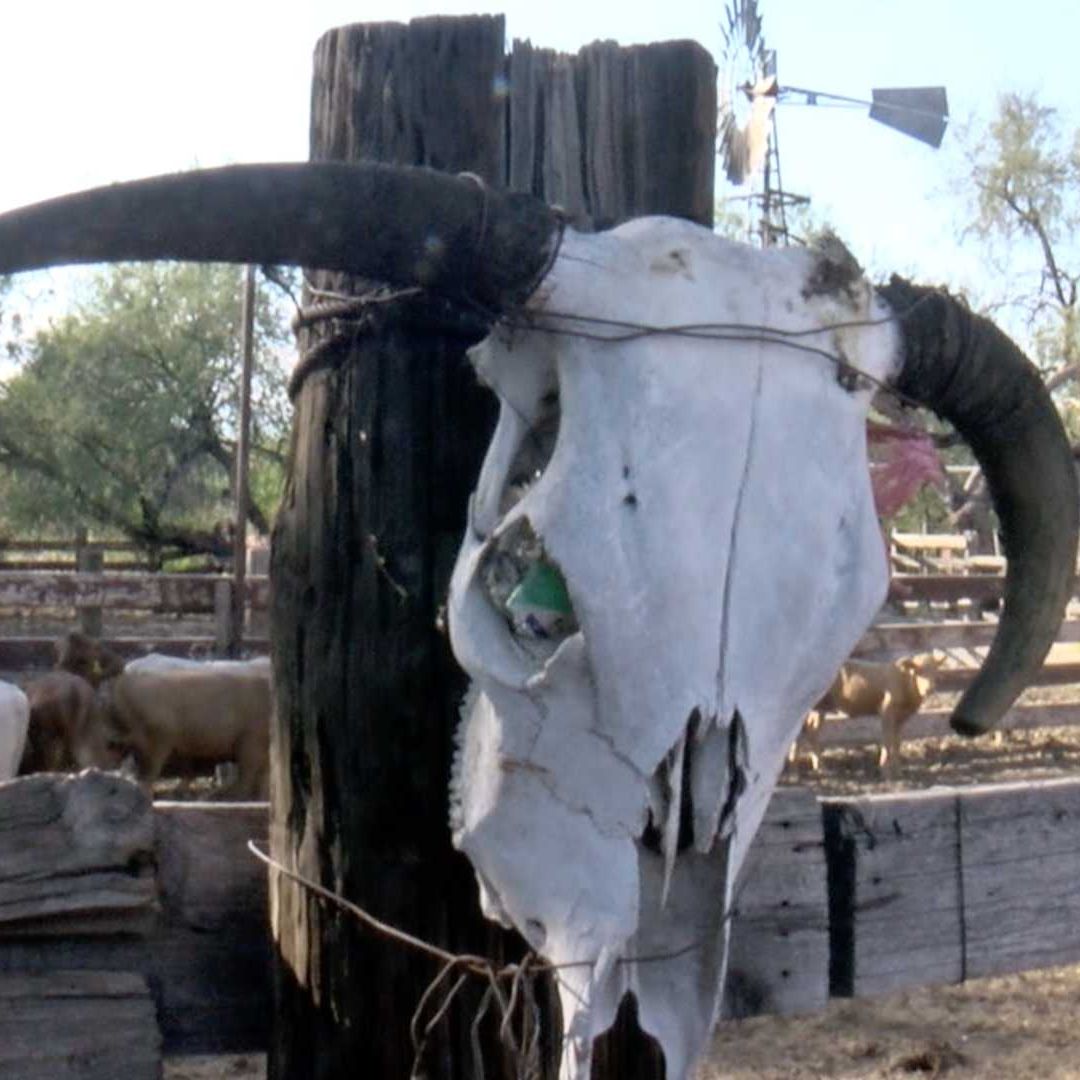 Hombre Fue Encontrado Sin Vida en un Rancho Donde Trabajaba al Oriente de Hermosillo