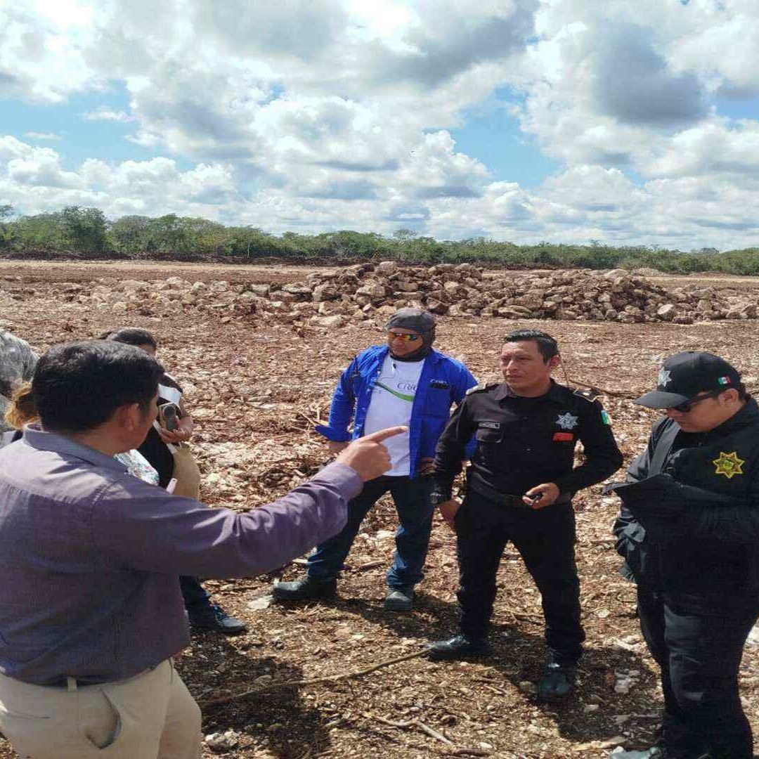Denuncian Devastación en Zona Arqueológica en Tzemé, Yucatán