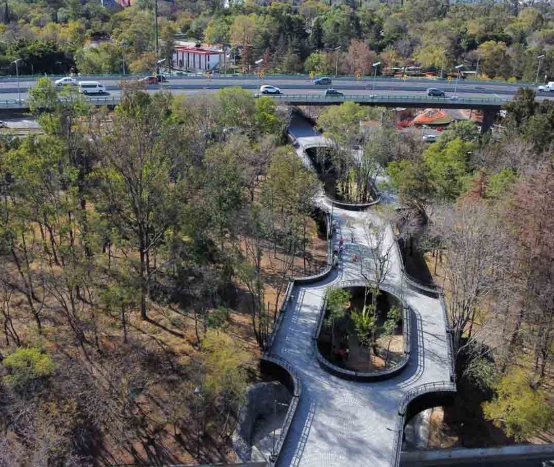 El diseño de la infraestructura estuvo a cargo del artista Gabriel Orozco