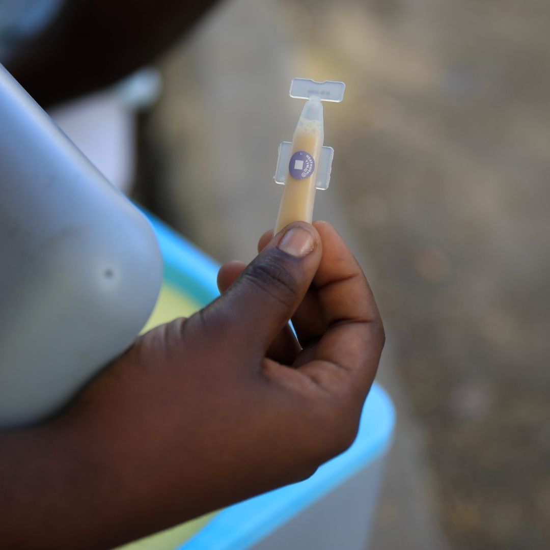 La Organización Mundial de la Salud advierte sobre elevados brotes de cólera