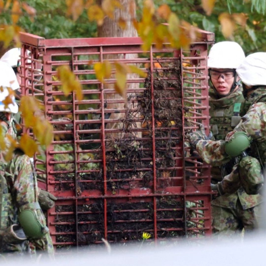 Policía de Japón Autoriza a sus Agentes Matar a Osos; Ataques de Animales han Dejado 13 Muertos.