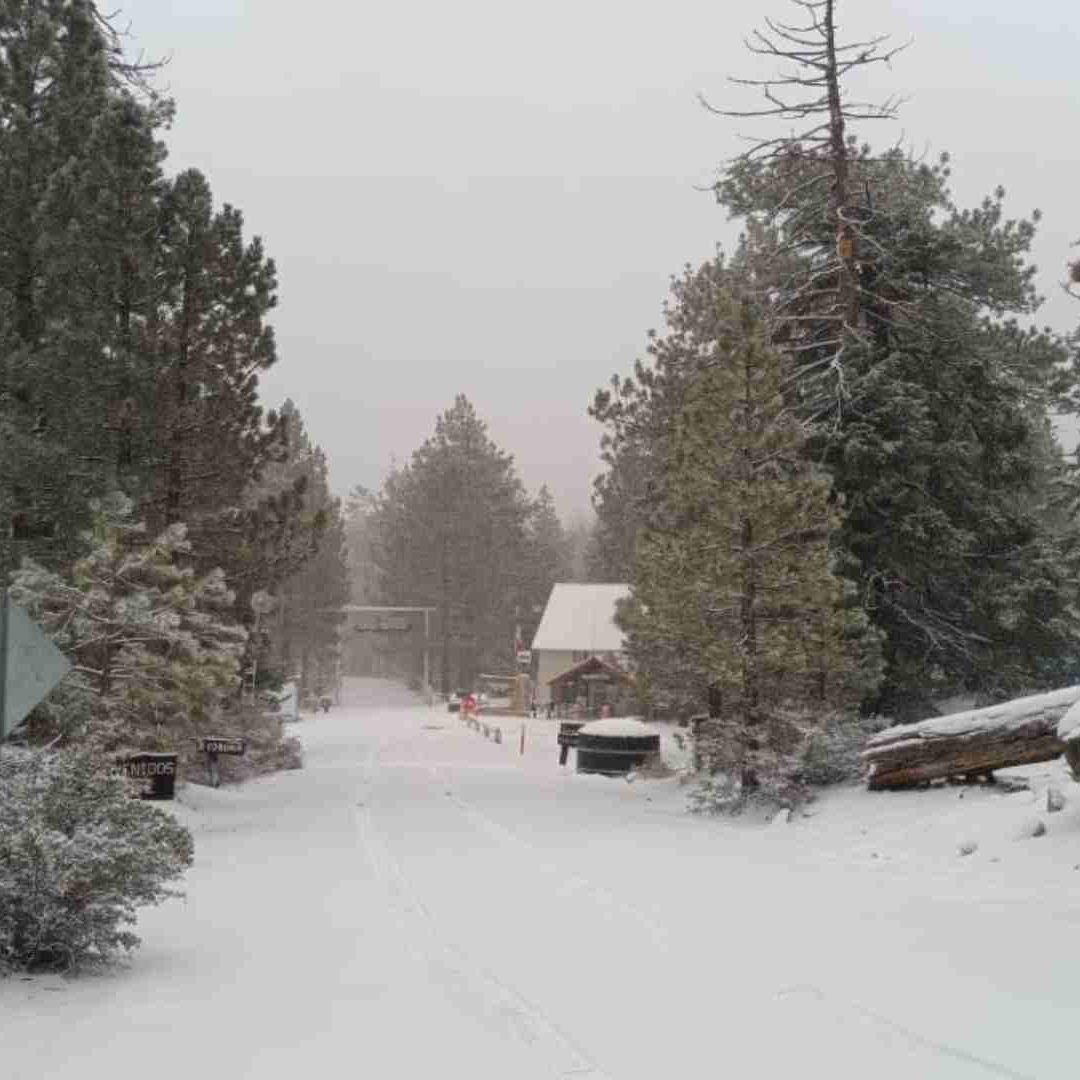 Cierre temporal del Parque Nacional Sierra San Pedro Mártir por nieve