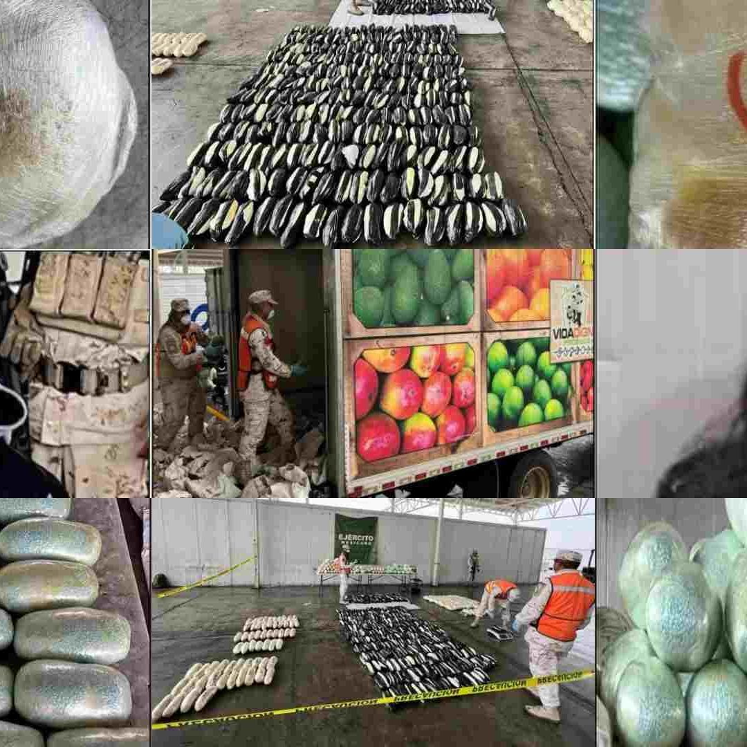 Sedena decomisa cargamento de droga en Sonora