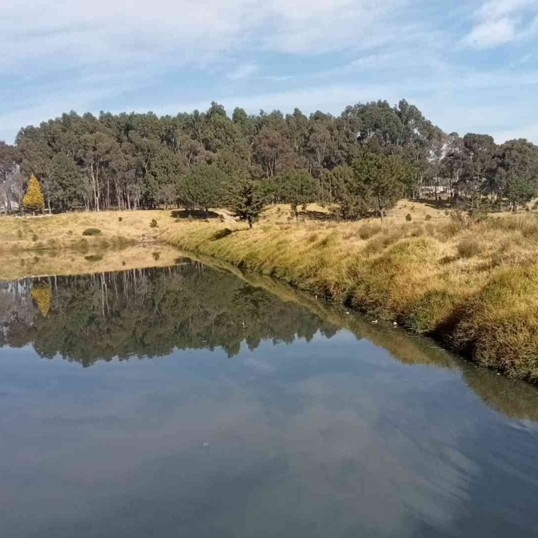 Exigen atender contaminación en la Alameda 200 de Toluca