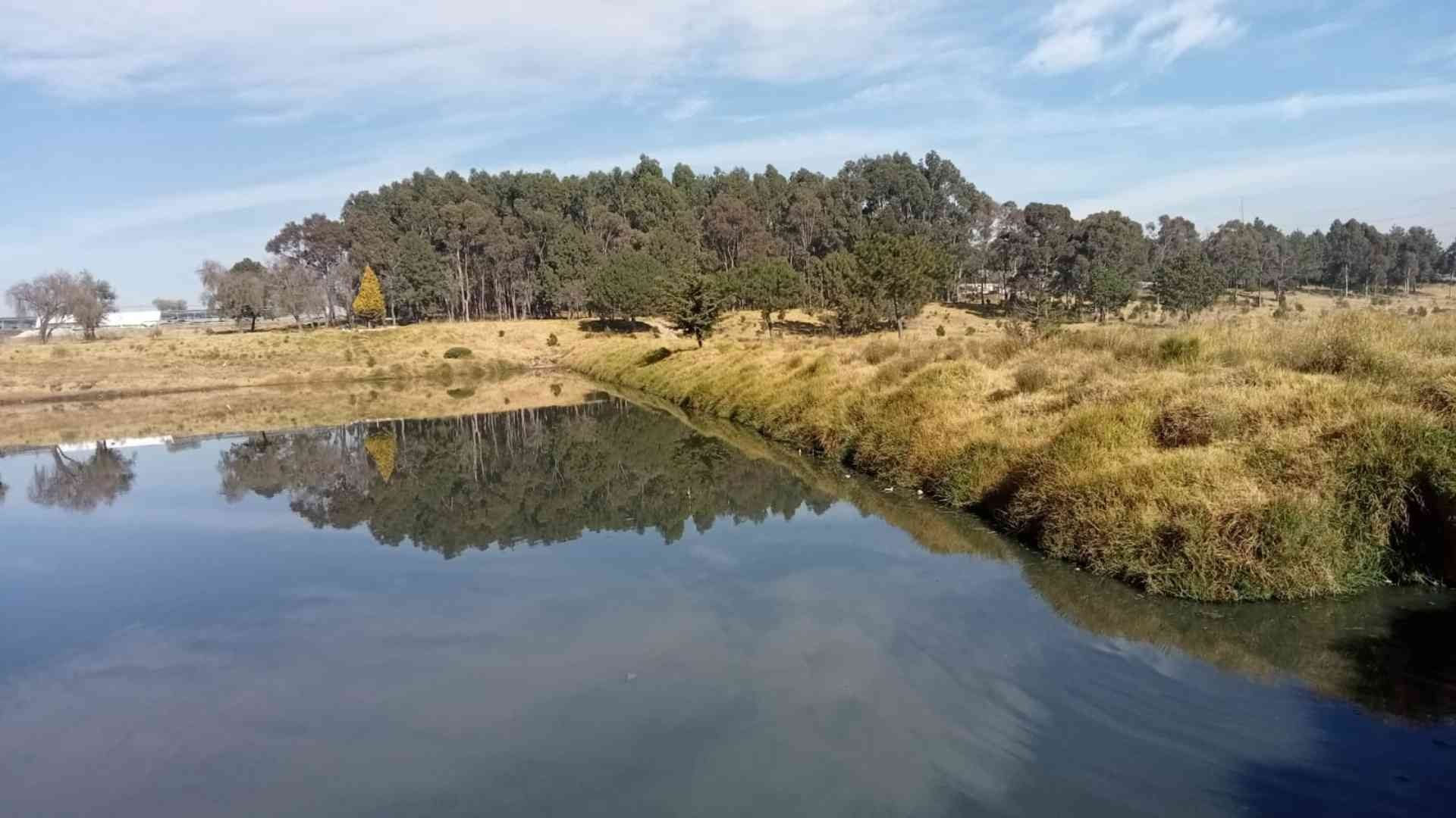 Exigen atender contaminación en la Alameda 200 de Toluca