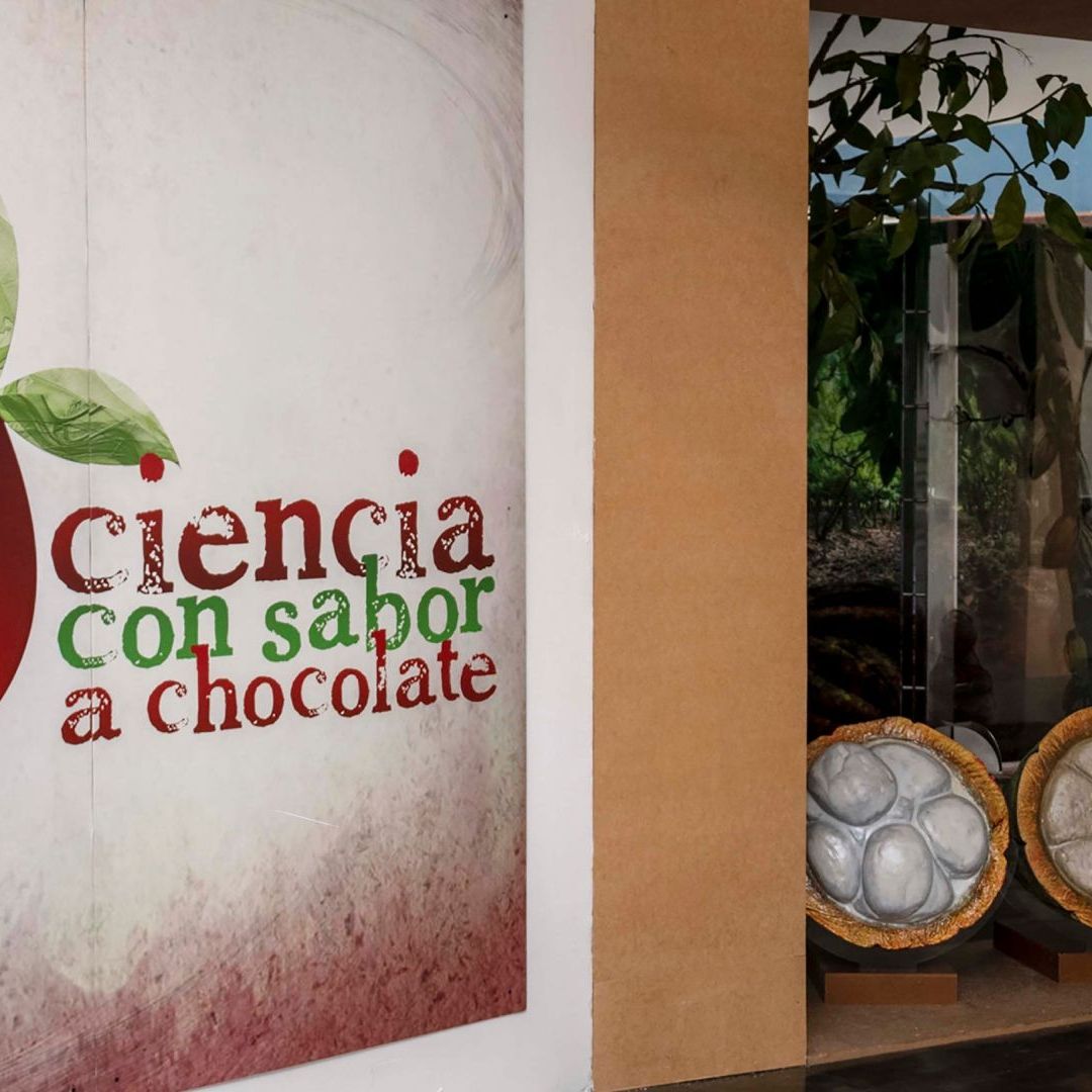 Exposición Dinámica para Convertir Cacao en Chocolate: