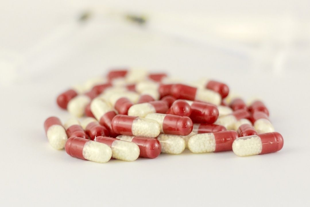 Crean píldora viva que contiene una bacteria modificada capaz de vencer la resistencia a los antibióticos