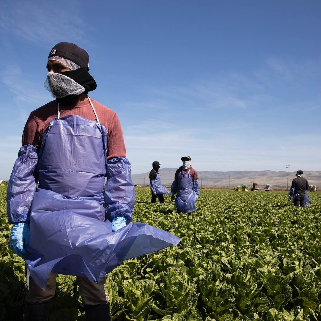 Extraditan mexicano a Florida por trabajos forzados contra migrantes