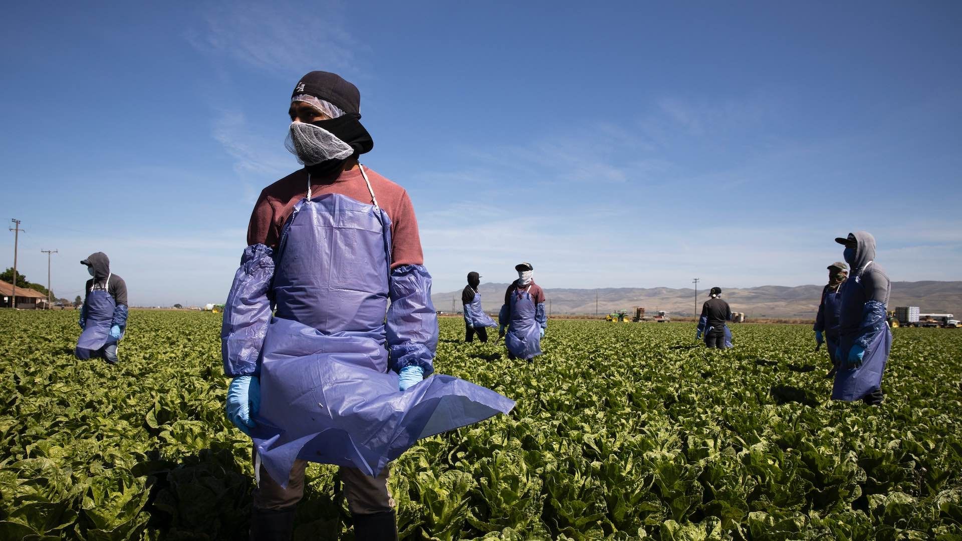 Extraditan mexicano a Florida por trabajos forzados contra migrantes