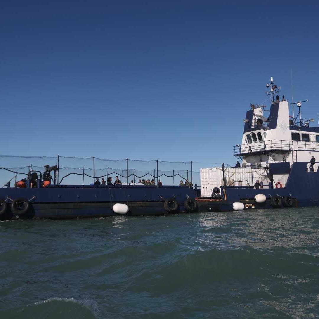 Semar y Sea Shepherd avanzan en la protección de la vaquita marina