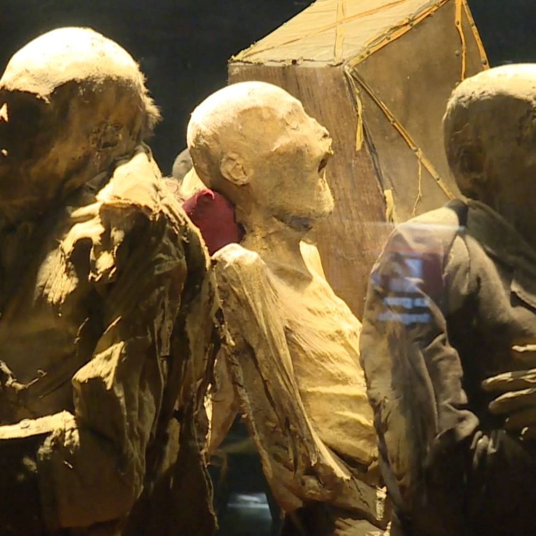 Museo de las Momias de Guanajuato: ¿Cuál es su Horario, Precio en 2025 y Dónde Está Ubicado? I N+ Bajío