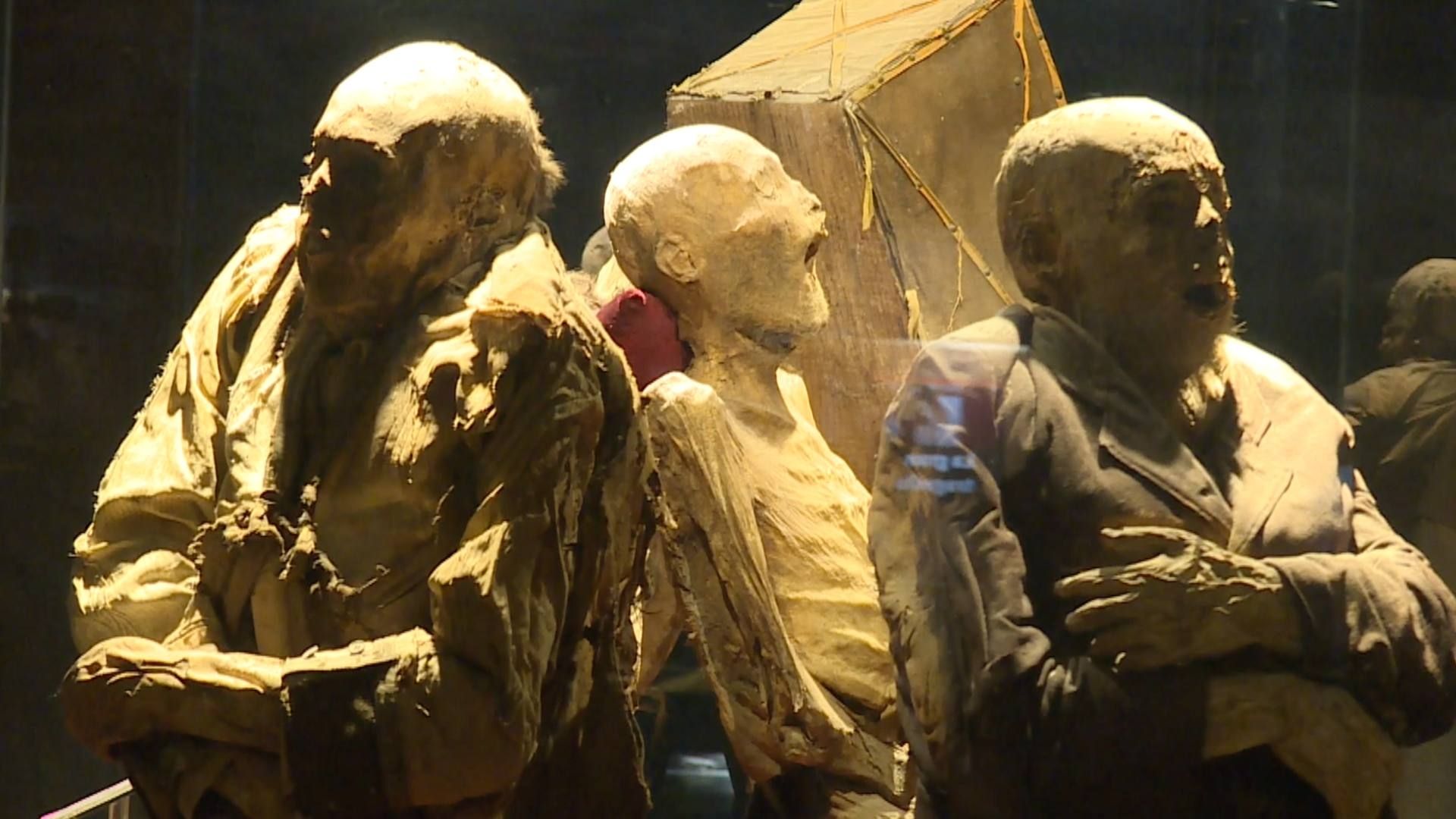 Museo de las Momias de Guanajuato: ¿Cuál es su Horario, Precio en 2025 y Dónde Está Ubicado? I N+ Bajío