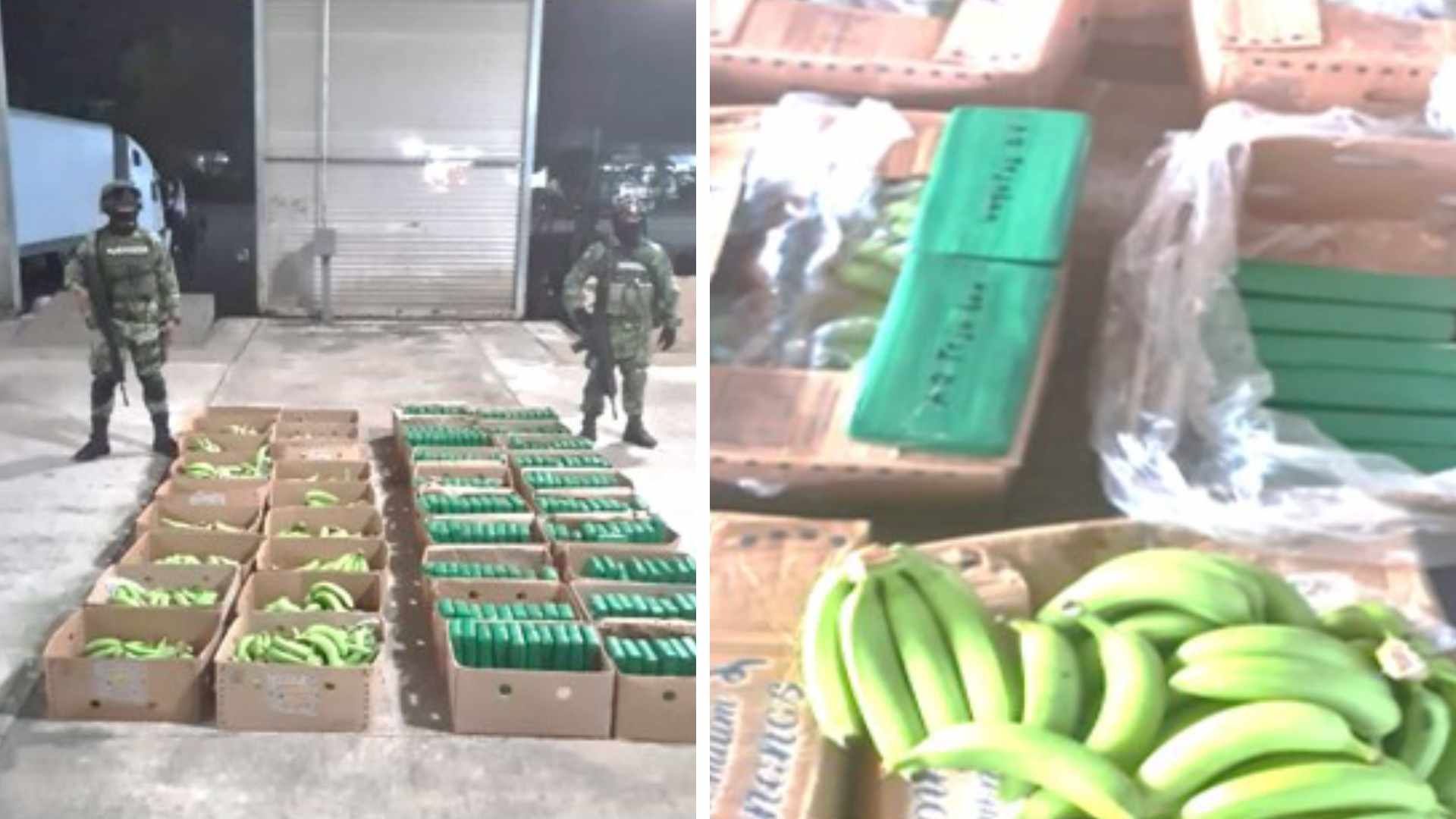 Decomisan droga que estaba oculta en cajas para tramsportar plátanos