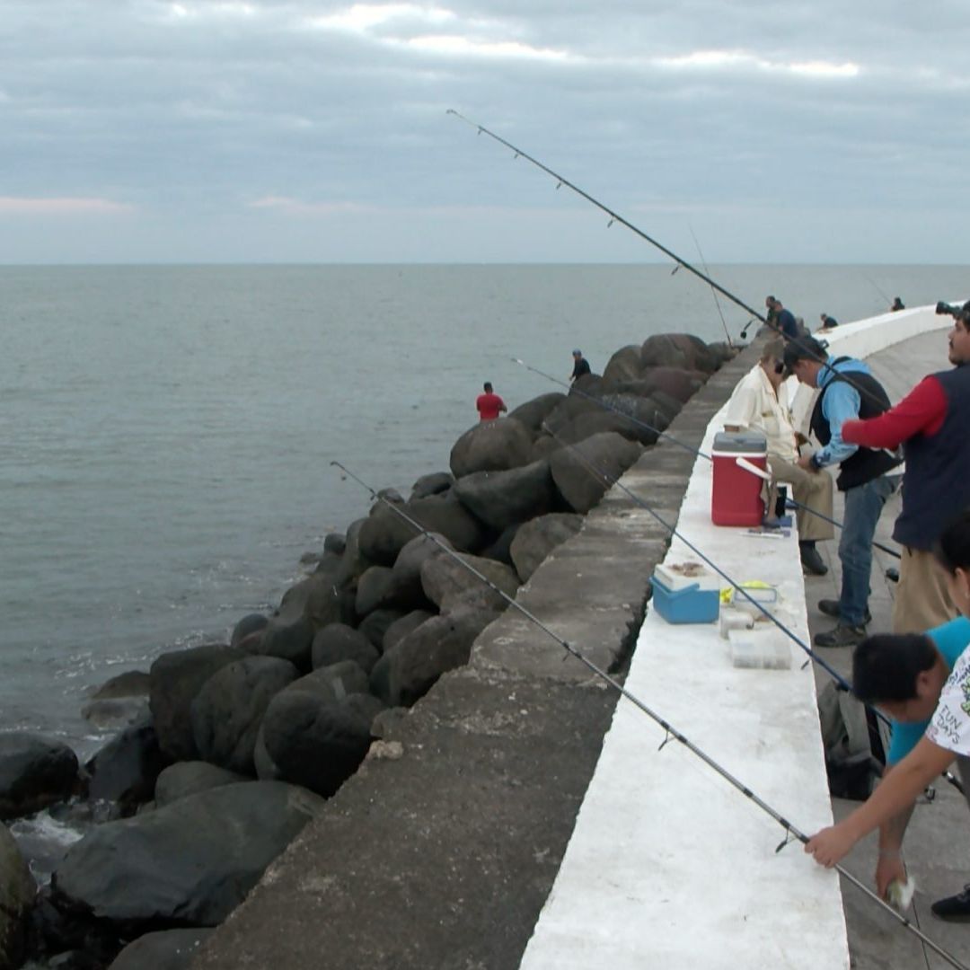 Pez Conejo Veracruz Pescadores Especie en Temporada de Frentes Fríos Pesca Deportiva