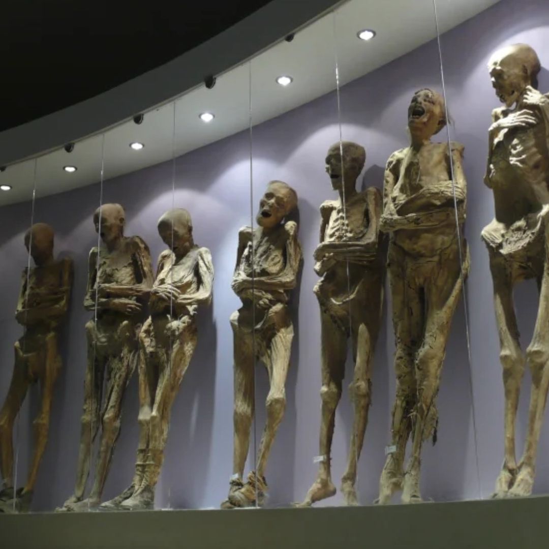 Momias de Guanajuato "Desaparecerán en Poco Tiempo" por Daños Críticos, Advierte Estudio de INAH