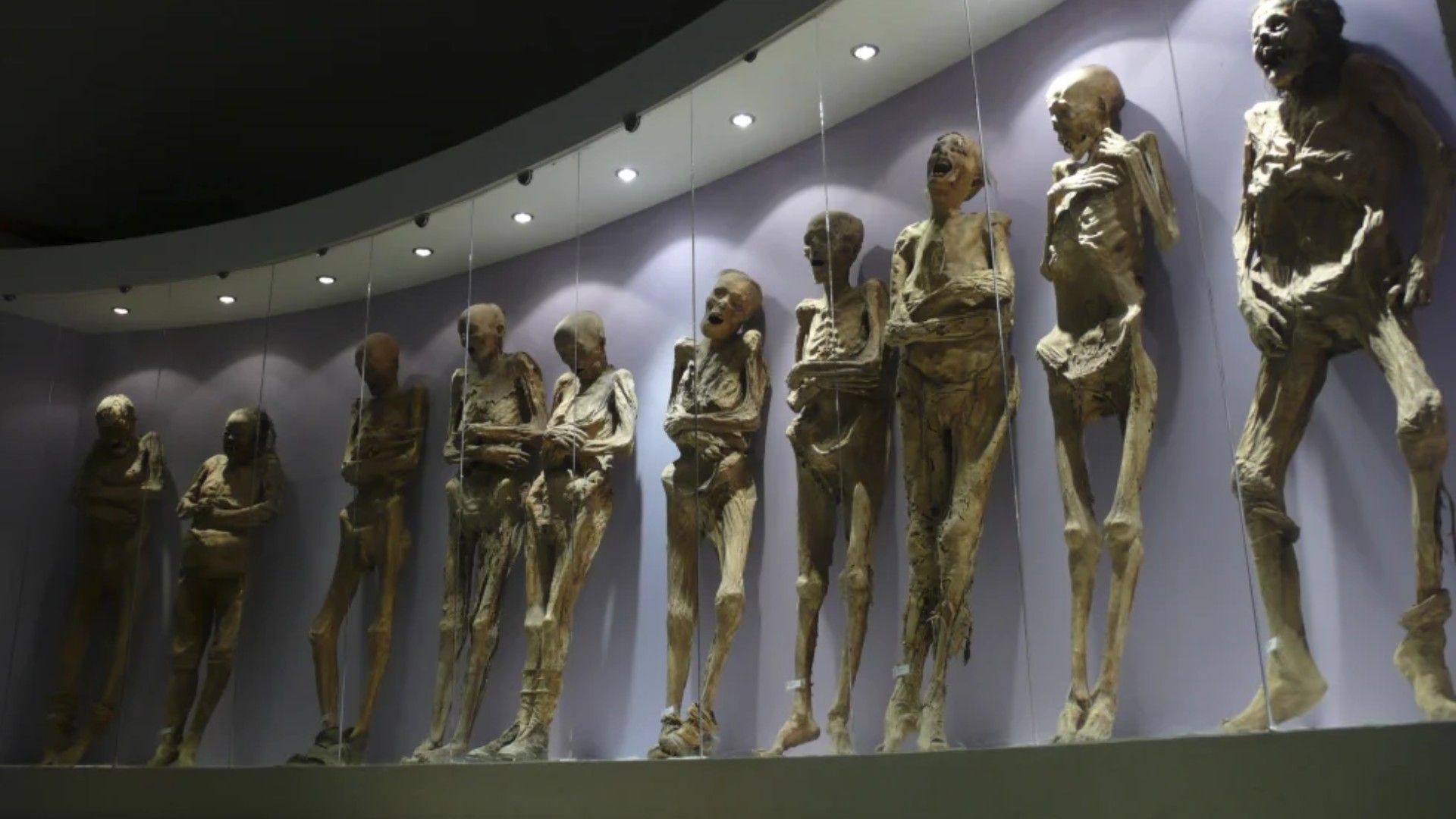 Momias de Guanajuato "Desaparecerán en Poco Tiempo" por Daños Críticos, Advierte Estudio de INAH