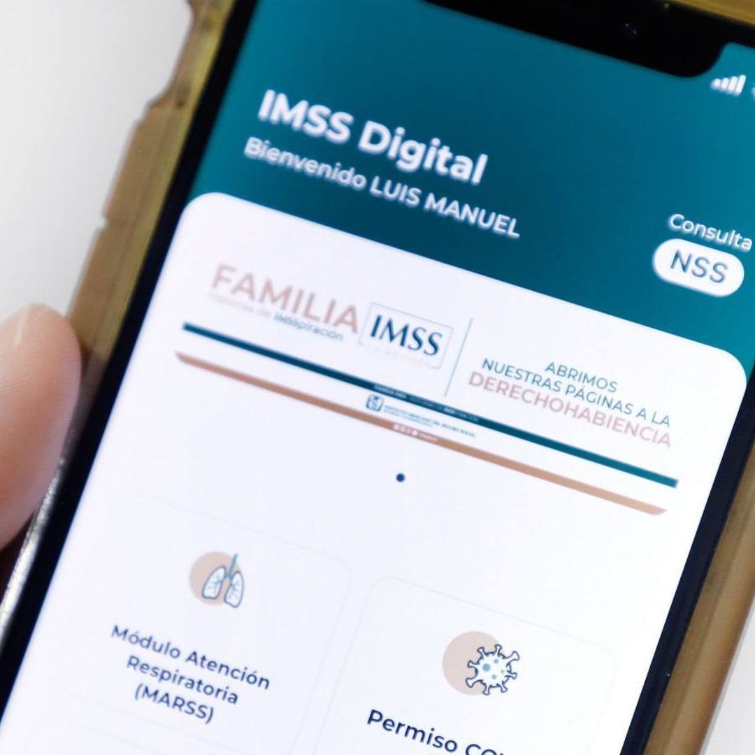 IMSS: ¿Qué significan los dígitos de tu Número de Seguridad Social (NSS)?