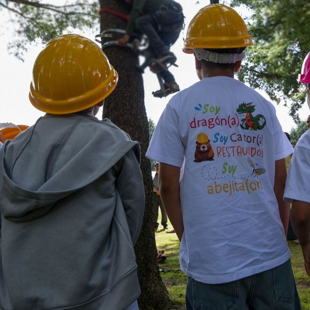 Registro Abierto en Beca de 24,000 Pesos para Niños y Adolescentes de 0 ...