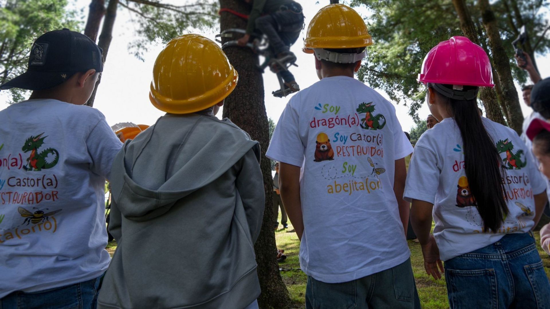 Registro Abierto en Beca de 24,000 Pesos para Niños y Adolescentes de 0 a 18 Años Cómo Solicitar