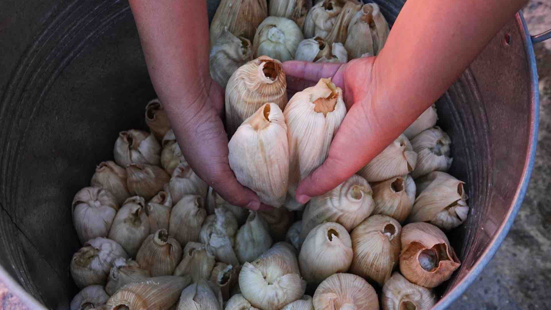 Así se preparan los tamales de chipilín en distintas regiones de México