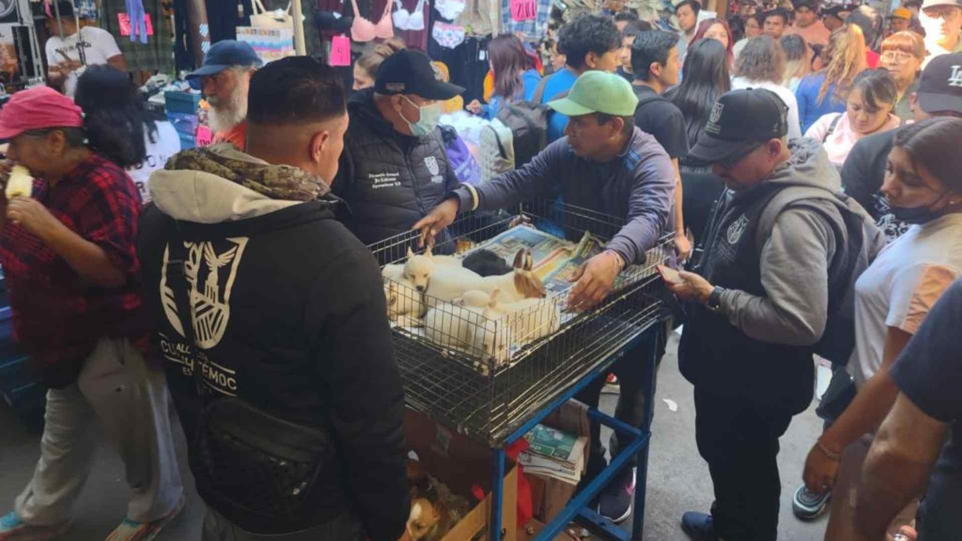 Operativo en Tepito Contra Venta de Animales de Compañía