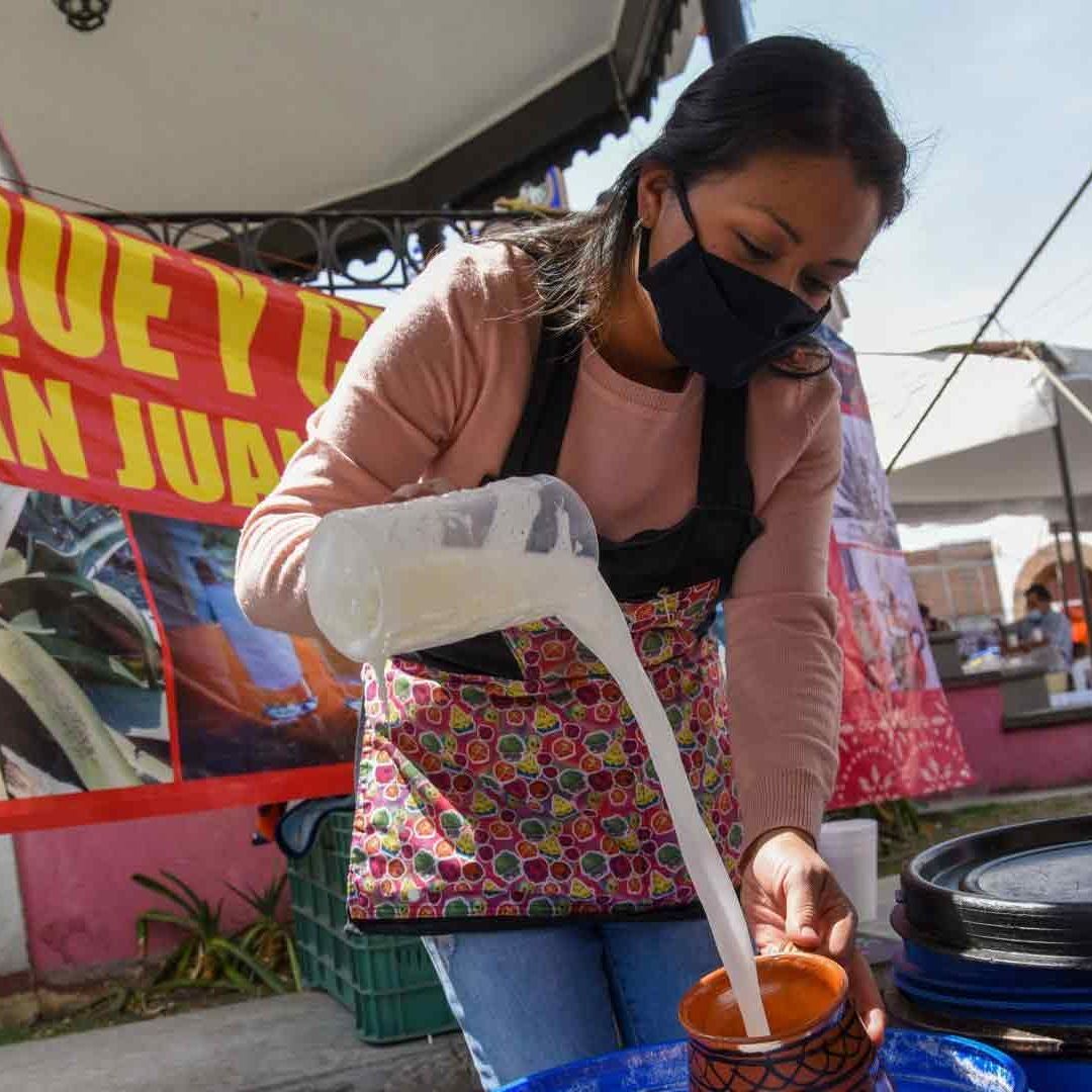 Así será el primer Diplomado del Pulque en Hidalgo