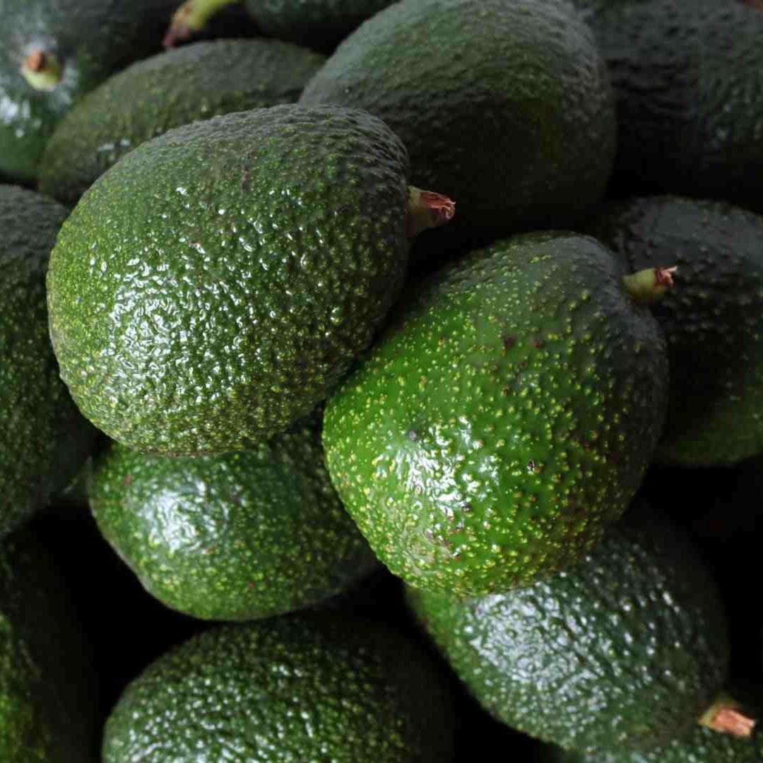 Activistas ambientales van contra el aguacate mexicano
