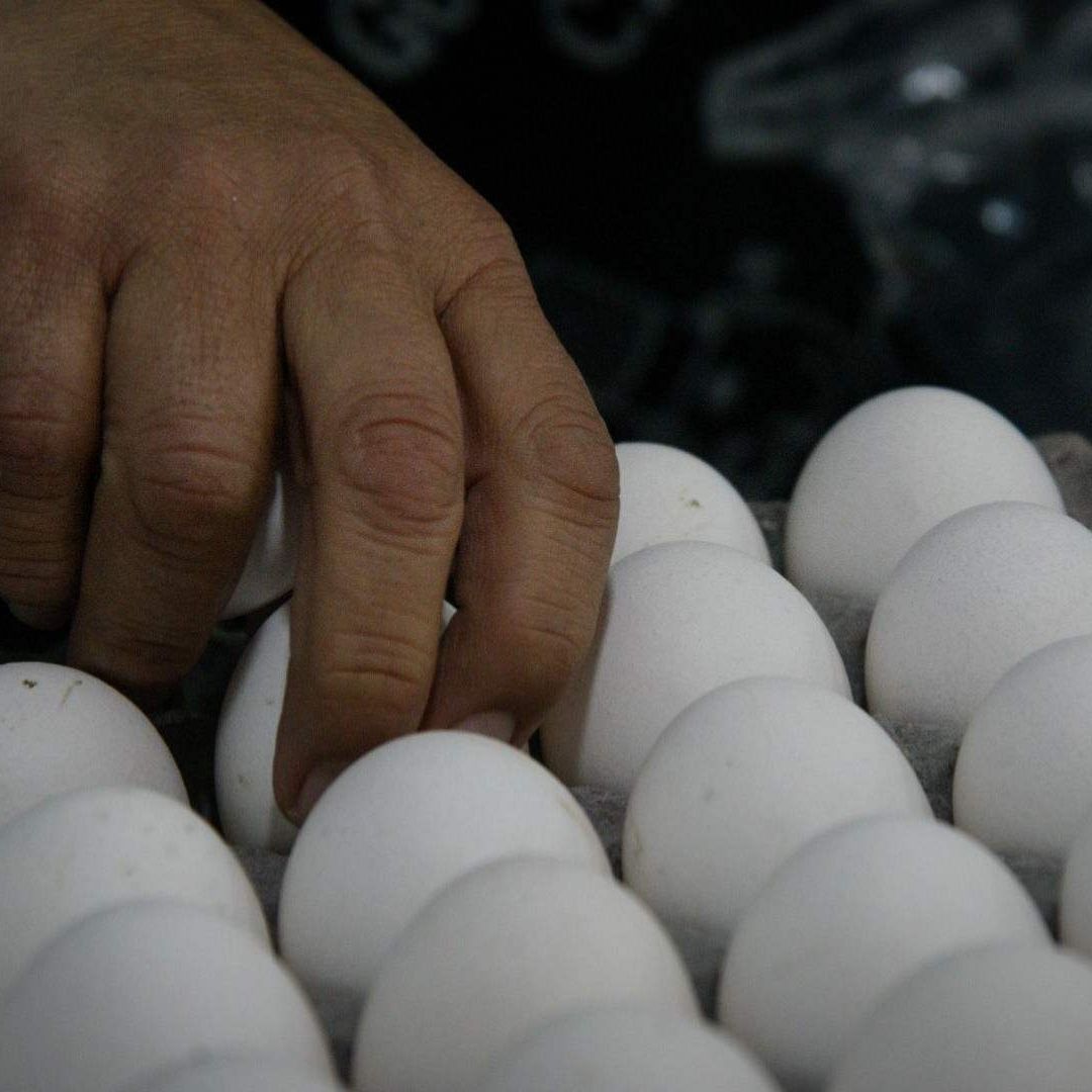Profeco Advierte que el Precio del Huevo Podría Normalizarse Hasta Marzo de 2023