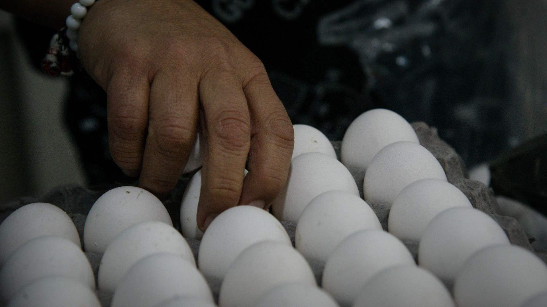 Profeco Advierte que el Precio del Huevo Podría Normalizarse Hasta Marzo de 2023