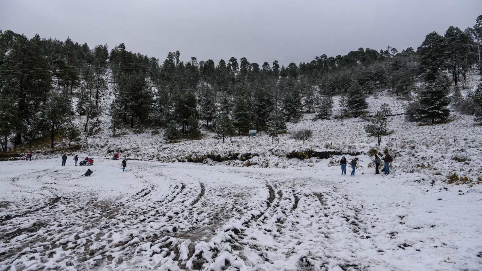 Frente frío 16 y Aire Polar en México. Foto: Cuartoscuro